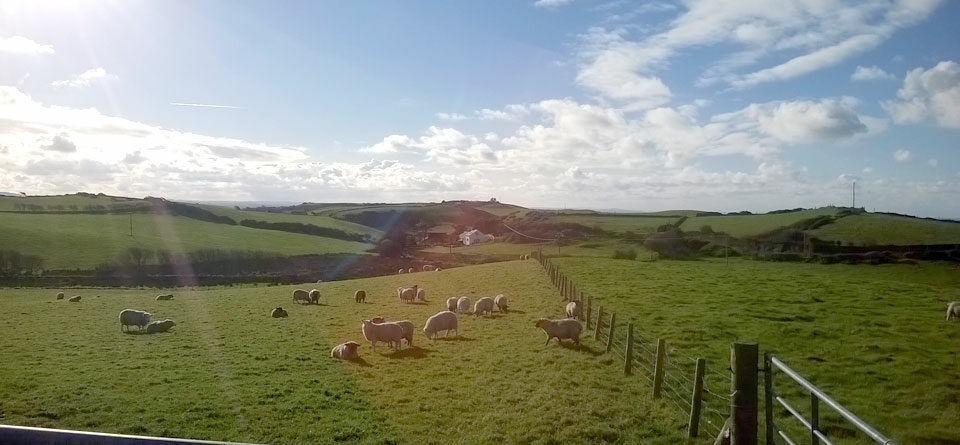 Countryside